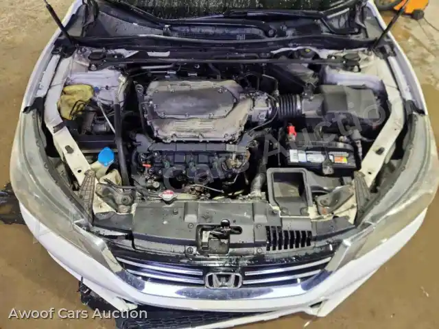 2014 Honda Accord 1HGCR3F8XEA002973 — Copart auction photo 11