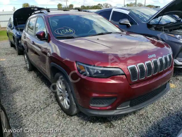 2020 Jeep Grand Cherokee 1C4PJLCB4LD649596 — Copart auction photo 1