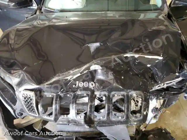 2019 Jeep Grand Cherokee 1C4PJLCBXKD115825 — Copart auction photo 12