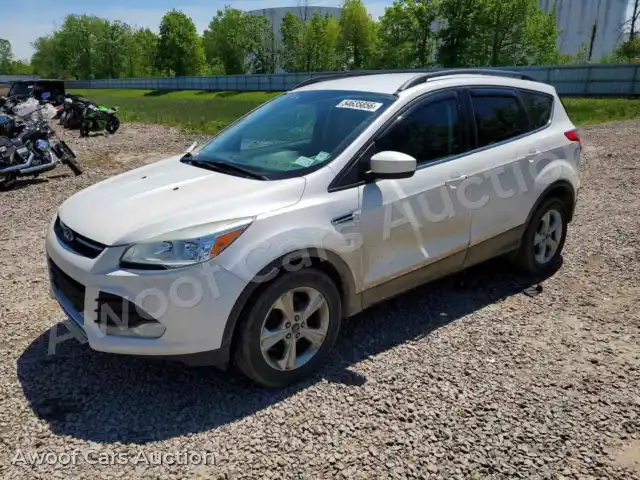 2015 Ford Escape 1FMCU9G95FUB08220 — photo 1 de la vente Copart