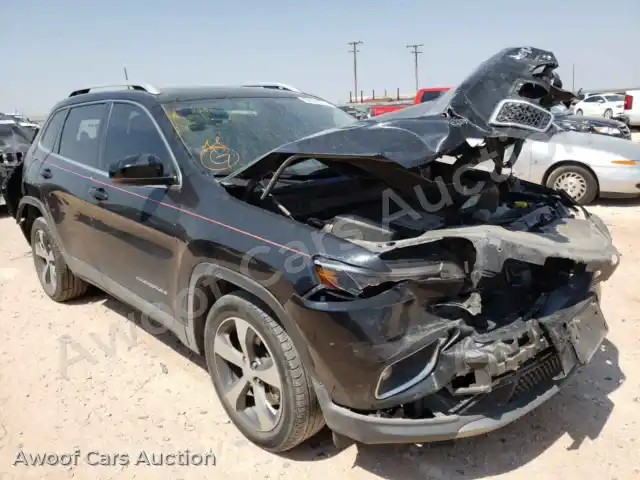 2019 Jeep Cherokee 1C4PJLDBXKD275248 — Copart auction photo 1