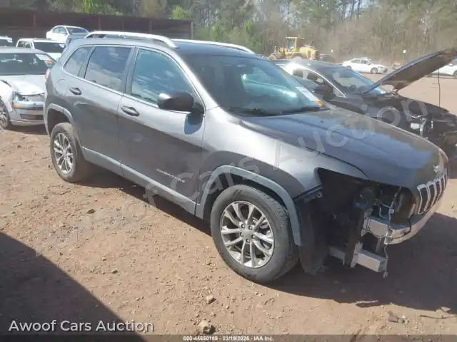 2019 Jeep Cherokee 1C4PJLLB8KD455572 — Iaai auction photo 1