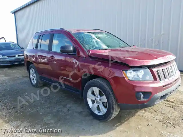 2016 Jeep Compass 1C4NJDBBXGD658484 — Copart auction photo 1
