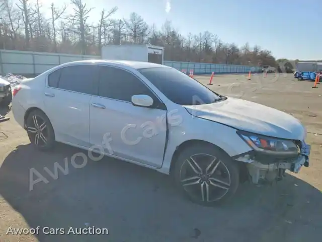 2013 Honda Accord 1HGCR2F52DA244901 — Copart auction photo 4