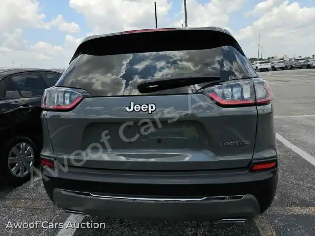 2021 Jeep Cherokee 1C4PJLDX5MD120119 — Manheim auction photo 9