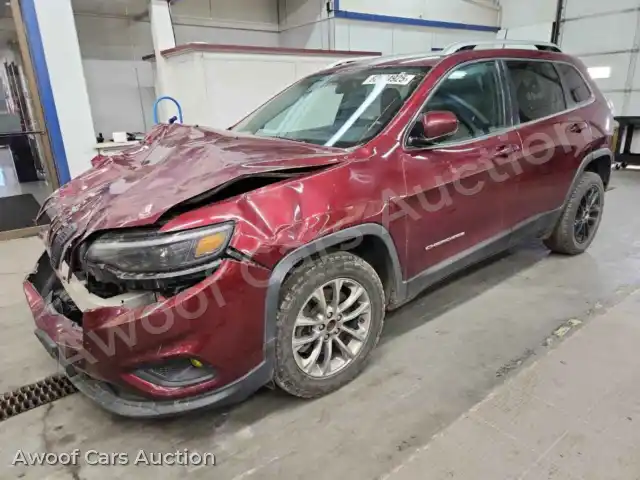 2019 Jeep Grand Cherokee 1C4PJLLB6KD316279 — Copart auction photo 1