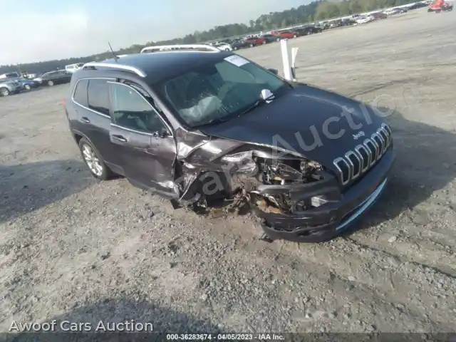 2016 Jeep Cherokee 1C4PJLDBXGW336058 — Iaai auction photo 1