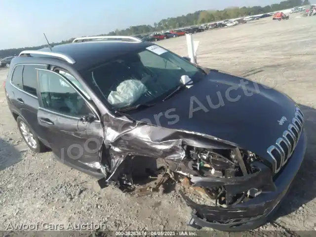 2016 Jeep Cherokee 1C4PJLDBXGW336058 — Iaai auction photo 6
