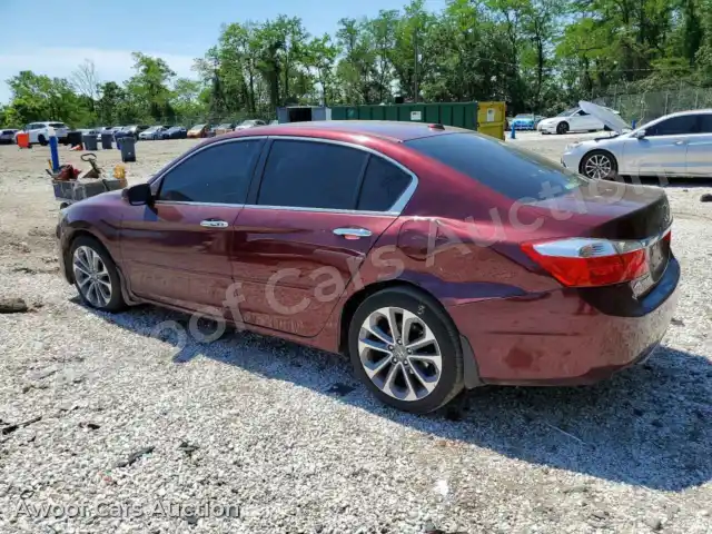 2014 Honda Accord 1HGCR2F81EA133977 — Copart auction photo 2
