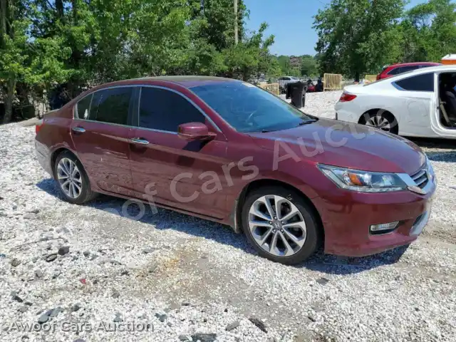 2014 Honda Accord 1HGCR2F81EA133977 — Copart auction photo 4