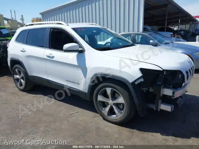 2019 Jeep Cherokee 1C4PJLDB6KD296033 — Iaai auction photo 1