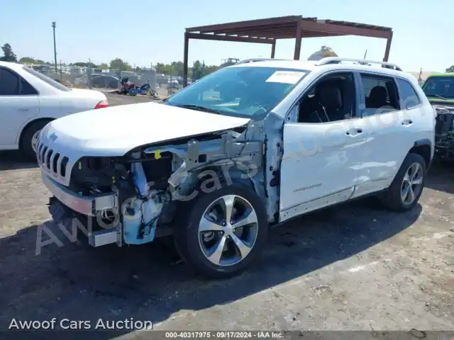 2019 Jeep Cherokee 1C4PJLDB6KD296033 — Iaai auction photo 2