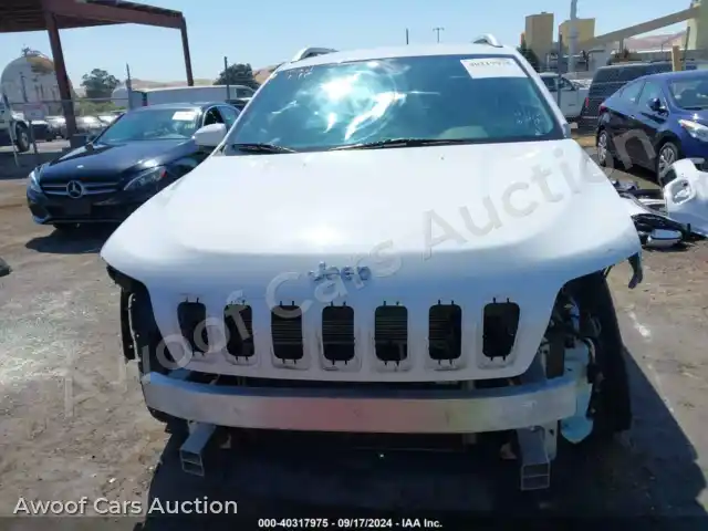 2019 Jeep Cherokee 1C4PJLDB6KD296033 — Iaai auction photo 13
