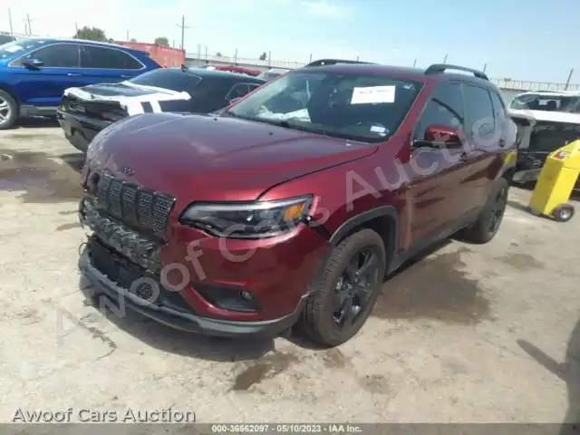 2021 Jeep Cherokee 1C4PJLLB6MD113296 — Iaai auction photo 2