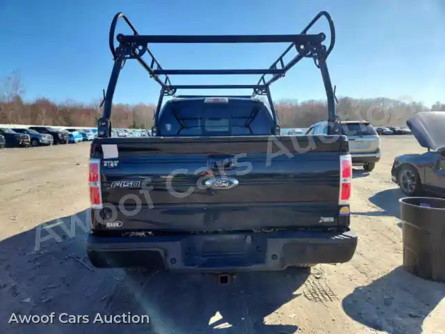 2010 Ford F150 1FTFW1EV5AFD67753 — Copart auction photo 6
