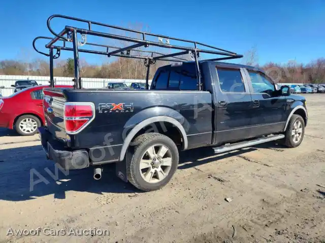 2010 Ford F150 1FTFW1EV5AFD67753 — Copart auction photo 3