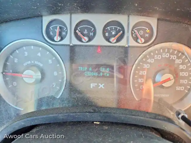 2010 Ford F150 1FTFW1EV5AFD67753 — Copart auction photo 9