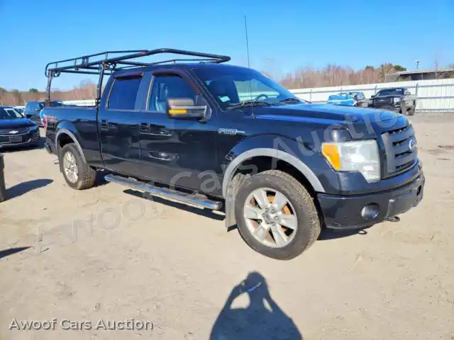 2010 Ford F150 1FTFW1EV5AFD67753 — Copart auction photo 4