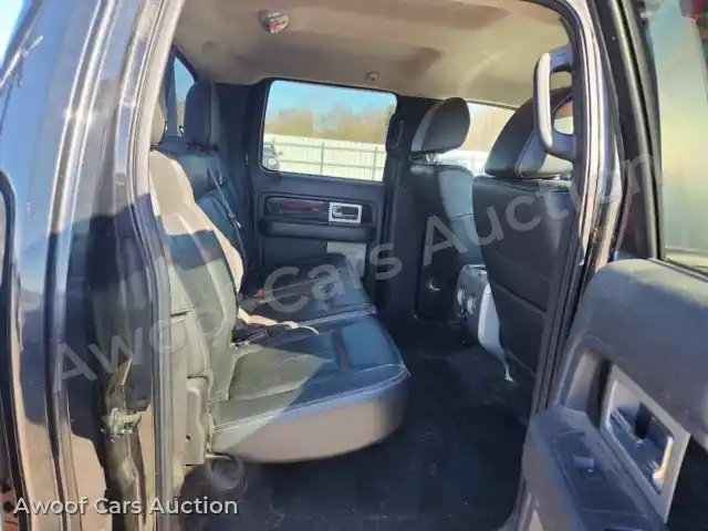 2010 Ford F150 1FTFW1EV5AFD67753 — Copart auction photo 10