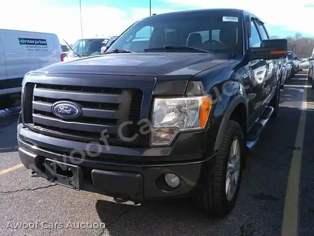 2010 Ford F150 1FTFW1EV5AFD67753 — Manheim auction photo 1