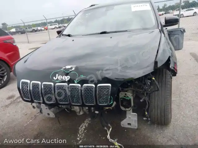 2019 Jeep Cherokee 1C4PJLDB7KD190545 — Iaai auction photo 12