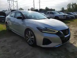 2020 Niss Maxima