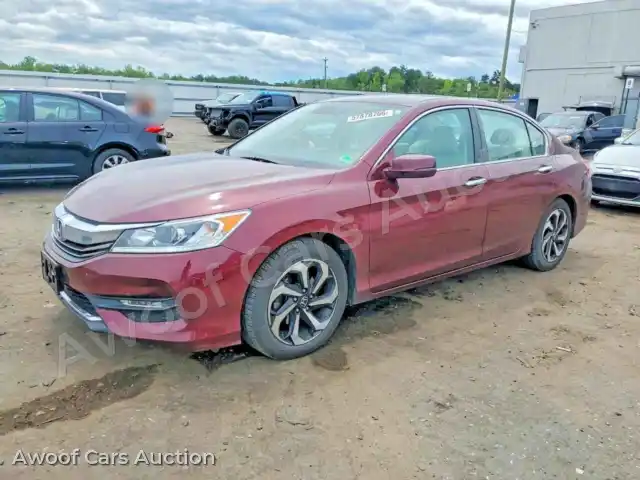 2016 Honda Accord 1HGCR2F96GA083489 — photo 1 de la vente Copart