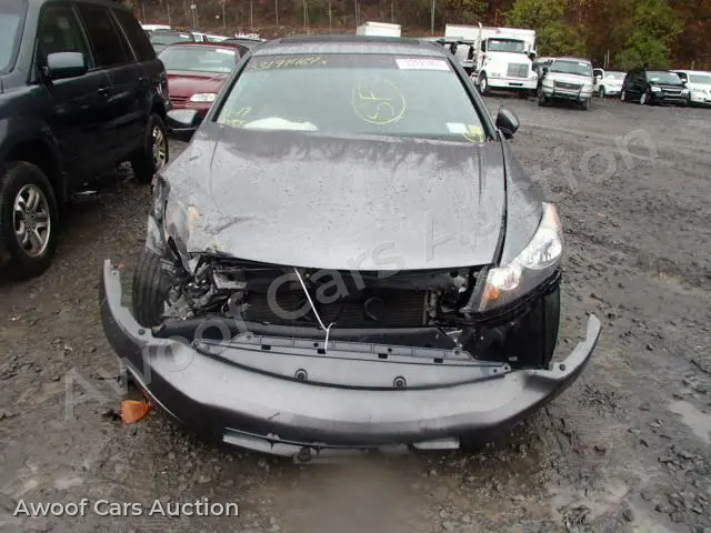 2009 Honda Accord 1HGCP26859A080356 — Copart auction photo 10