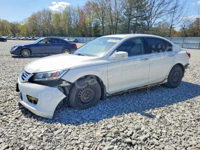 2014 Honda Accord 1HGCR3F82EA007245 — photo 1 de la vente Copart