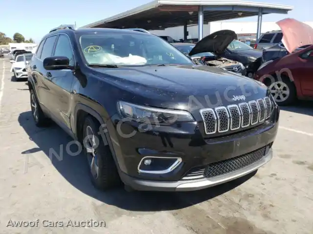 2019 Jeep Cherokee 1C4PJLDN0KD171300 — photo 1 de la vente Copart
