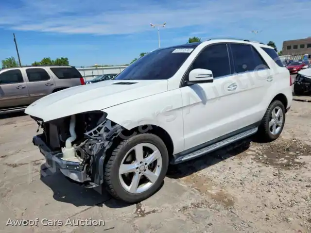 2016 Mercedes-Benz GLE-Class 4JGDA5HB4GA802794 — Copart auction photo 1