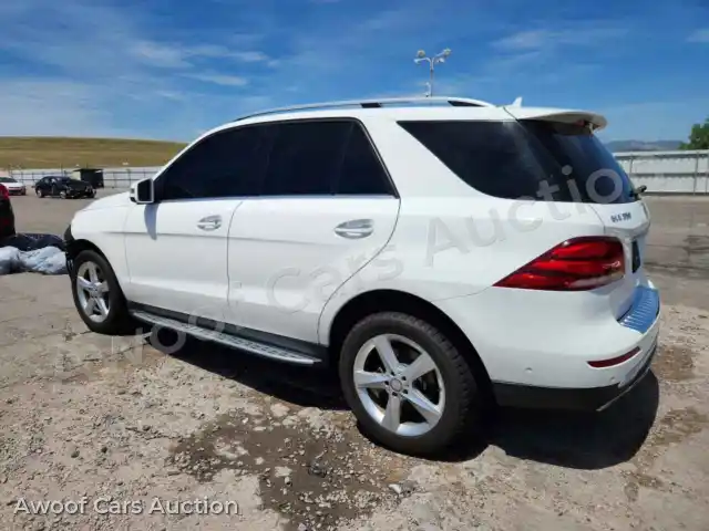 2016 Mercedes-Benz GLE-Class 4JGDA5HB4GA802794 — Copart auction photo 2