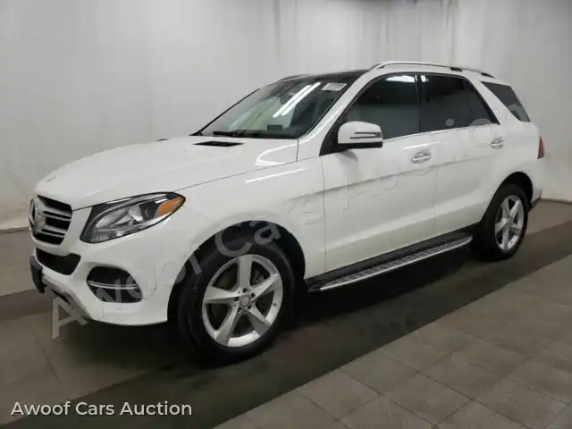 2016 Mercedes-Benz GLE-Class 4JGDA5HB4GA802794 — Manheim auction photo 1