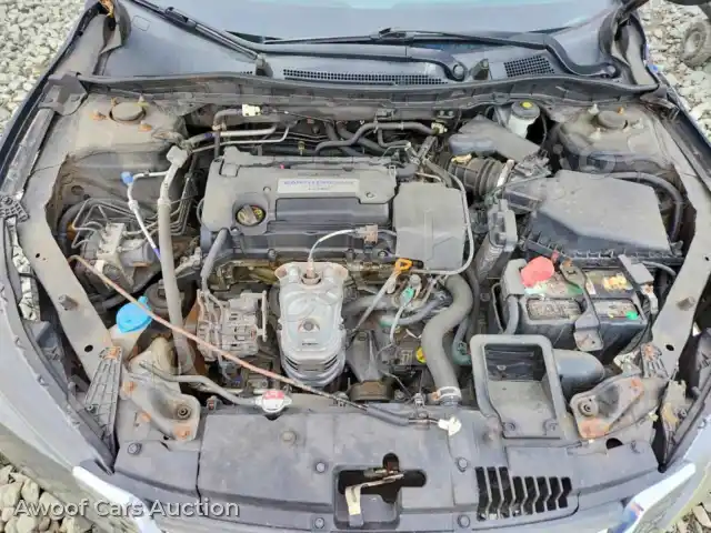 2014 Honda Accord 1HGCR2F35EA258131 — Copart auction photo 11