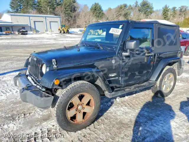2010 Jeep Wrangler 1J4AA5D19AL137210 — Copart auction photo 1