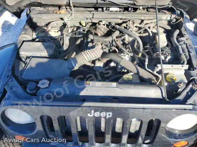 2010 Jeep Wrangler 1J4AA5D19AL137210 — Copart auction photo 12