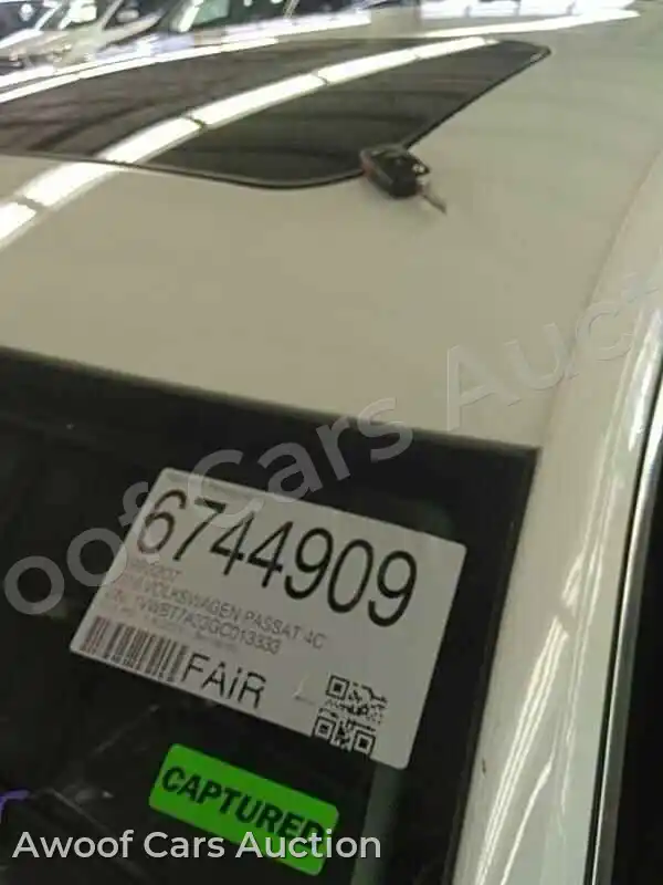 2016 Volkswagen Passat 1VWBT7A33GC013333 — Manheim auction photo 35