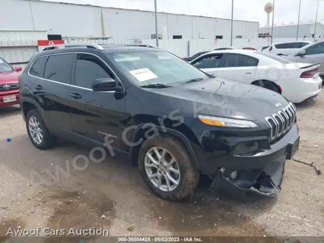 2018 Jeep Cherokee 1C4PJLCB3JD539829 — Iaai auction photo 1