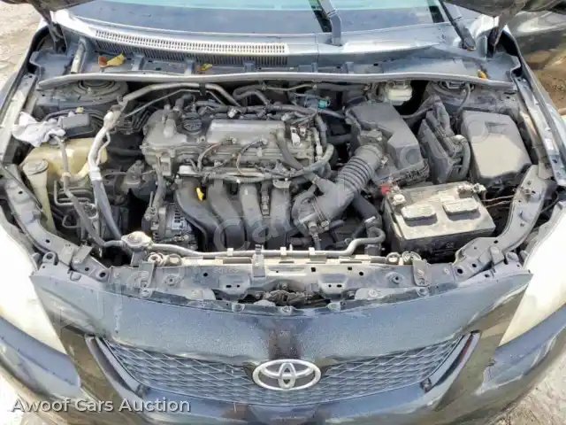 2010 Toyota Corolla 2T1BU4EE9AC511979 — Copart auction photo 11