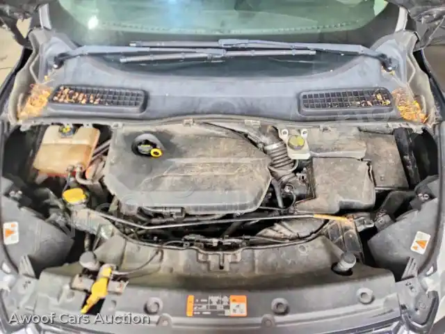 2014 Ford Escape 1FMCU9JX4EUD62555 — photo 12 de la vente Copart