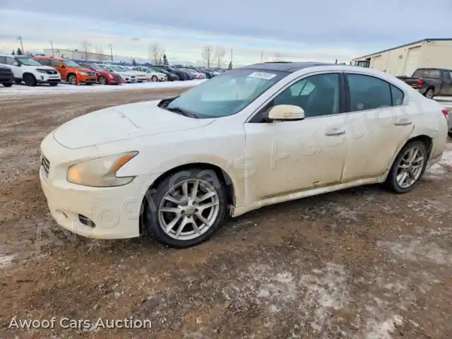 2009 Nissan Maxima 1N4AA51E09C858904 — Copart auction photo 1