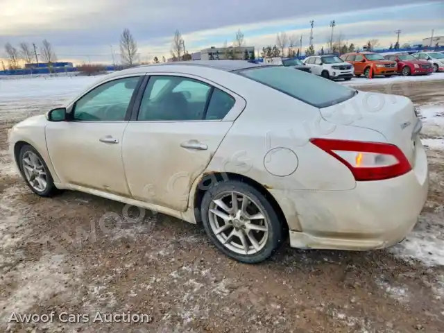 2009 Nissan Maxima 1N4AA51E09C858904 — Copart auction photo 2