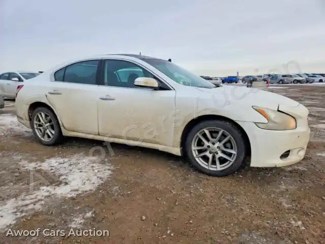2009 Nissan Maxima 1N4AA51E09C858904 — Copart auction photo 4
