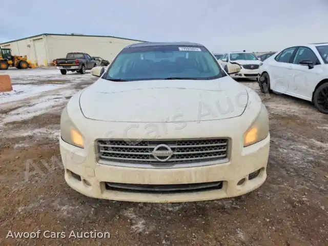 2009 Nissan Maxima 1N4AA51E09C858904 — Copart auction photo 5