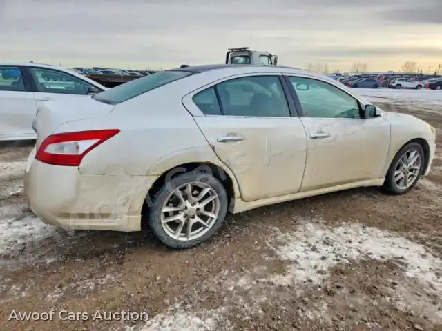 2009 Nissan Maxima 1N4AA51E09C858904 — Copart auction photo 3