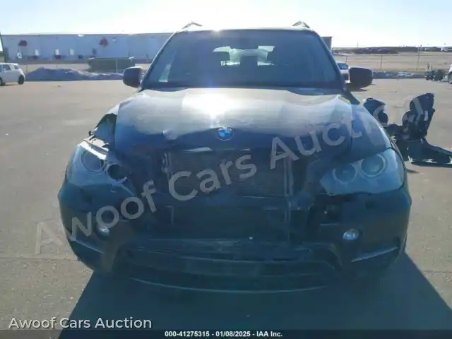 2012 BMW X5 5UXZV4C52CL759290 — Iaai auction photo 12