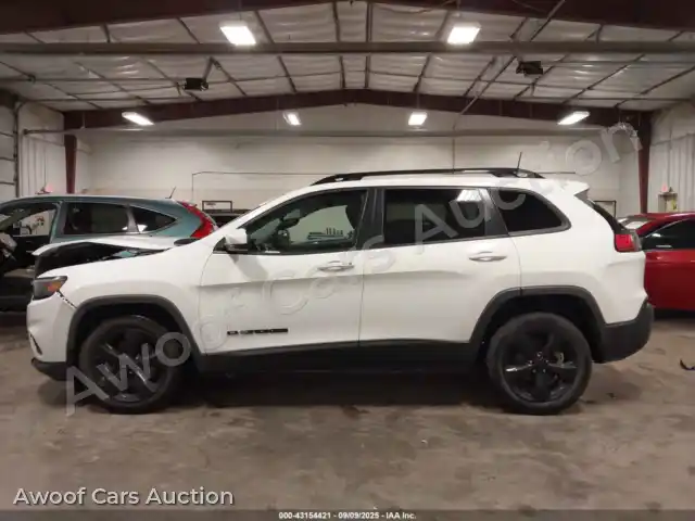 2019 Jeep Cherokee 1C4PJLLB8KD339370 — Iaai auction photo 14