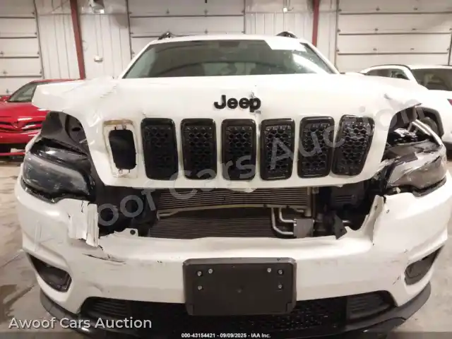 2019 Jeep Cherokee 1C4PJLLB8KD339370 — Iaai auction photo 6