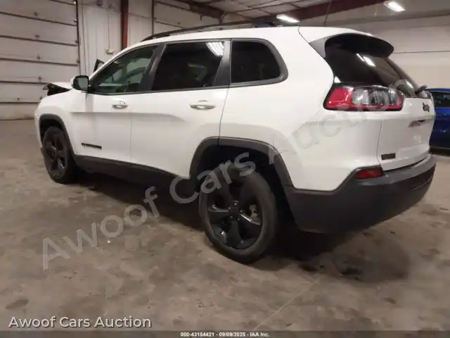 2019 Jeep Cherokee 1C4PJLLB8KD339370 — Iaai auction photo 3