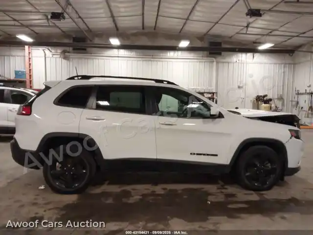 2019 Jeep Cherokee 1C4PJLLB8KD339370 — Iaai auction photo 13